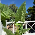Duplex Aldebaran By Costablancarent Διαμέρισμα
